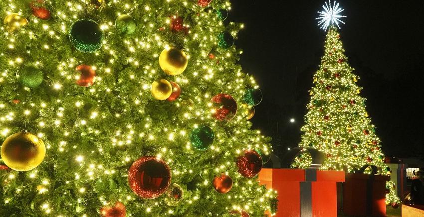 南方今年开始了一个新的传统，在学生服务路和美国南路点亮了两棵32英尺高的圣诞树. data-lightbox='featured'